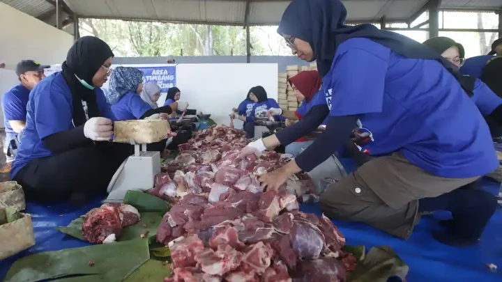 Solution For: Anak Sering Makan Sate dan Gulai saat Lebaran Haji? Ini Porsi Aman Daging Menurut Dokter