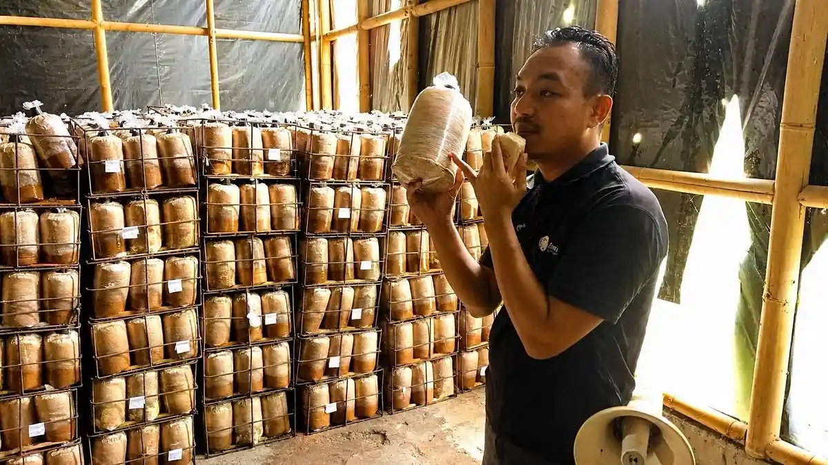 Ahmad-Arif-Nugroho-pemandu-di-Agrowisata-Jejamuran-Sleman
