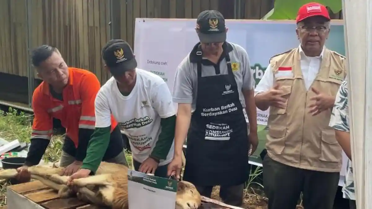BAZNAS-BERKURBAN-23432sdgsdgs