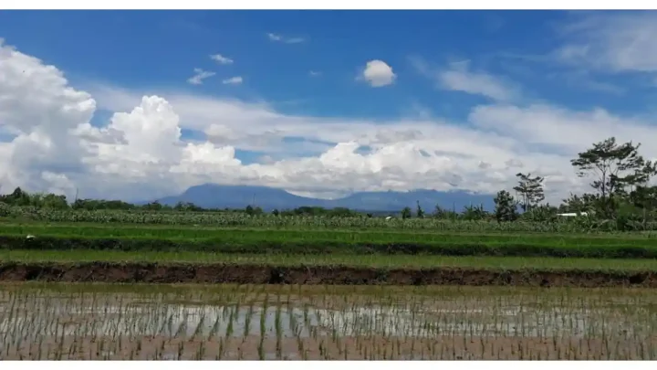 Prakiraan Cuaca di Kota Sorong Kamis – 28 Mei 2026, Berawan di Semua Distrik