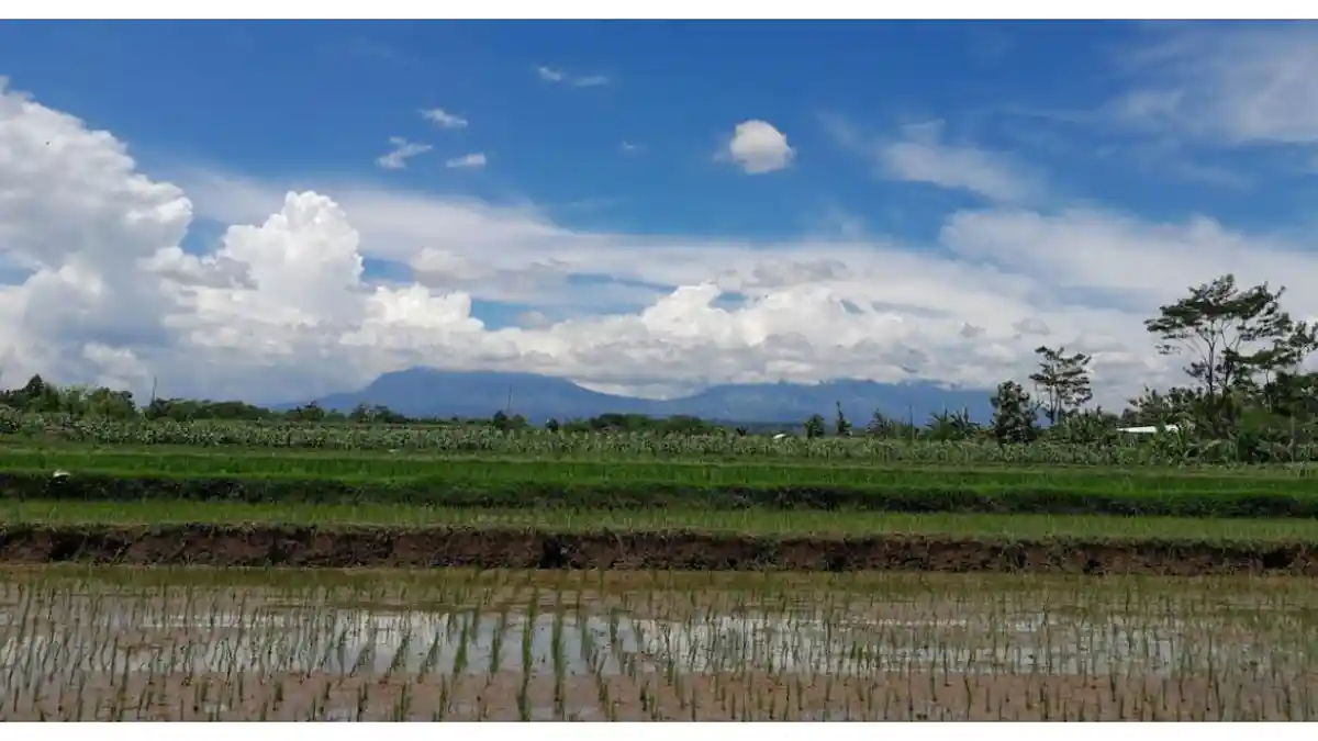 Cuaca-Berawan-gambar56