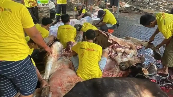 Key Strategy: Golkar DKI Jakarta Potong 57 Sapi dan 60 Kambing Kurban, Ahmed Zaki: Momen Pererat Kepedulian Sosial