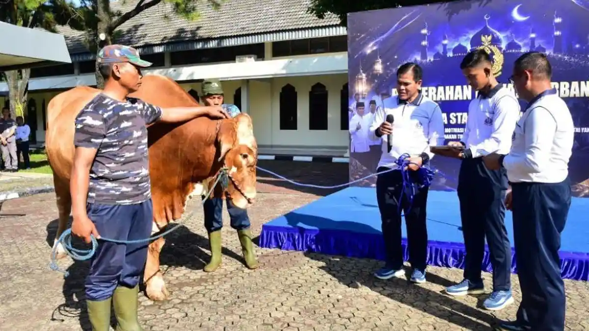 KSAL-Laksamana-TNI-Muhammad-Ali-menyerahkan-sapi-dan-kambing-kurban-Iduladha