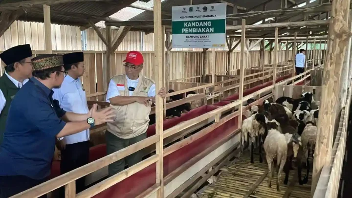 Special Plan: Mengintip Aktivitas Balai Ternak BAZNAS Kuningan, Jadi Tempat Berbagi Daging Saat Idul Adha