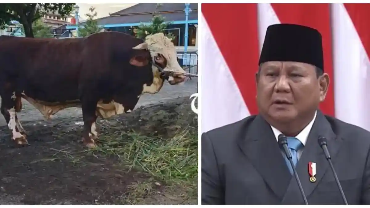Prabowo-Subianto-memberikan-sapi-kurban-untuk-Masjid-Agung-Keraton-Solo-1