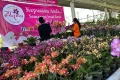Facing Challenges: Dari Jual Bunga Pikulan jadi Greenhouse Menawan, Kisah Bisnis Anggrek Kian Mekar Berkat Suntikan BRI