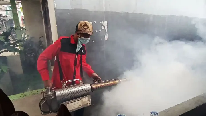 Waspada Monkey Malaria – Deforestasi Hutan Buat Nyamuk Pembawa Penyakit Makin Dekat