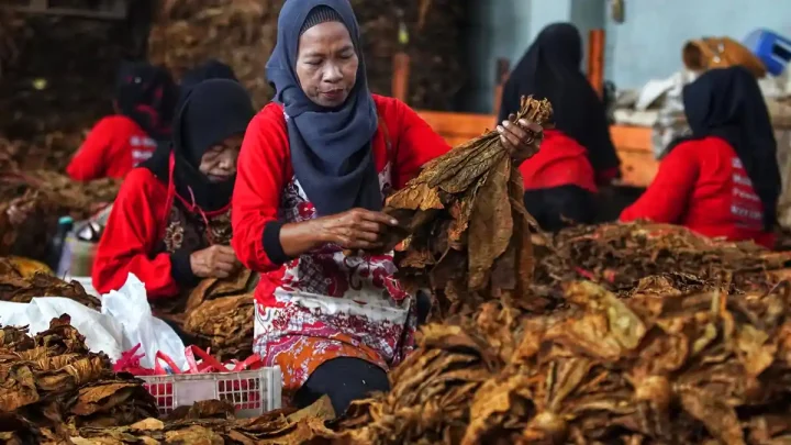 Topics Covered: Kemenko Perekonomian Sebut Perumusan Regulasi Baru Perlu Jaga Penerimaan Negara dan Tenaga Kerja