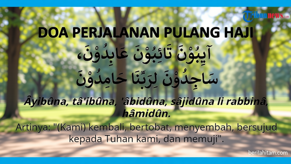 66a3aa4b-b327-48da-91fd-0671c33c049d-0