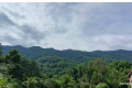 Prakiraan Cuaca di Kota Sorong Senin – 22 Juni 2026, Berawan Lagi di Semua Distrik