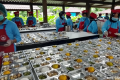 Latest Program: AMMSI Dukung Penyesuaian Operasional SPPG, Tegaskan Tidak Ada Ruang Bagi Dapur MBG Bermasalah