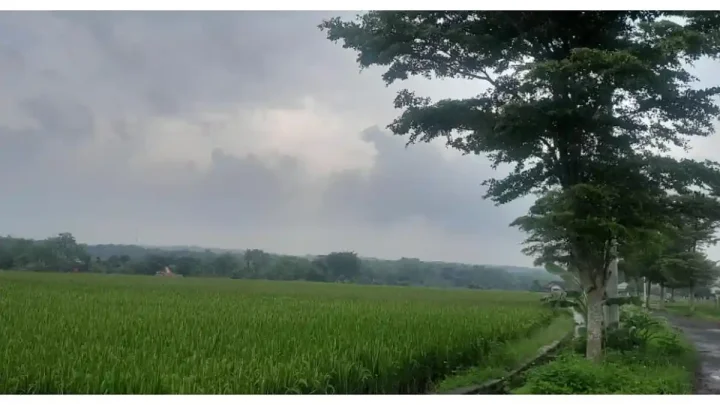Prakiraan Cuaca di Kota Sorong Rabu – 17 Juni 2026, Hujan Ringan Mengguyur Semua Distrik