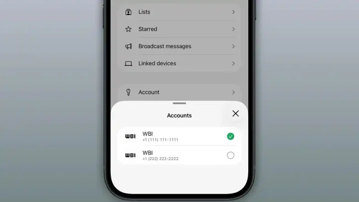 Visit Agenda: WhatsApp Rilis Fitur Multi-Akun di iPhone, Kini Bisa Pakai Dua Nomor dalam Satu Aplikasi