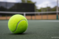 Topics Covered: Trik Sederhana untuk Penerbangan Nyaman: Cukup Bawa Bola Tenis