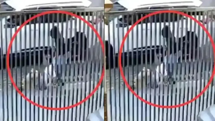 Key Issue: Motif Asmara di Balik Penculikan Lansia di PIK, Komisi III DPR: Ini Tetap Kejahatan Serius