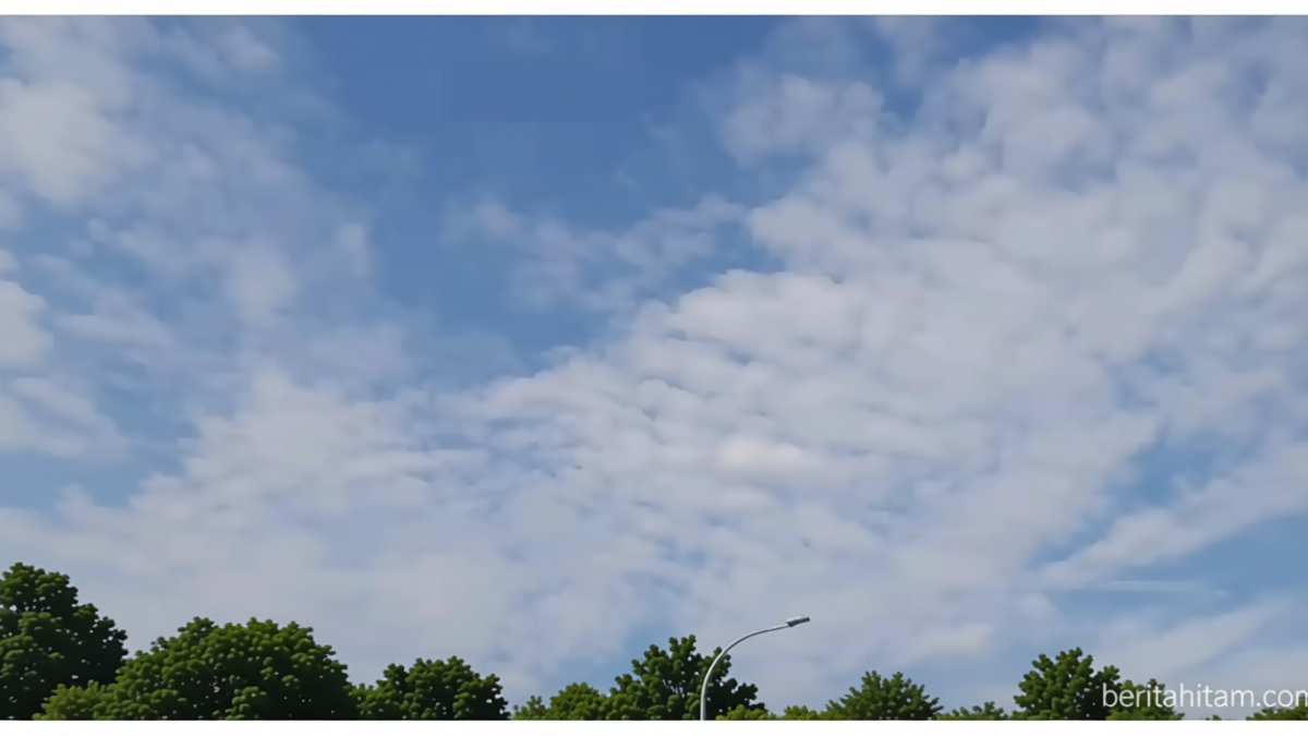 049b2dc3-8979-46b4-ac90-6c949ee2b127-0