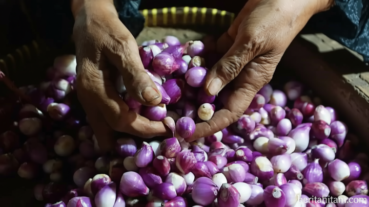 9 Manfaat Bawang Merah bagi Kesehatan, Bantu Jaga Jantung hingga Tingkatkan Daya Tahan Tubuh