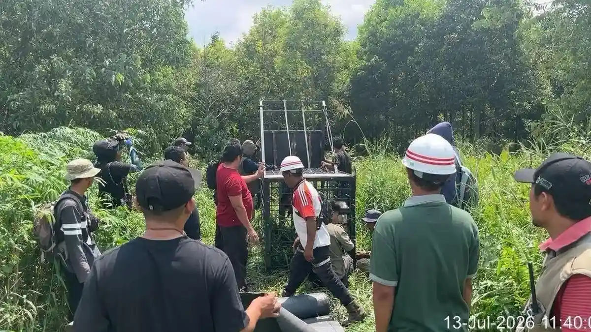 Kandang-Jebak-BKSDA-Riau-142dassdgvs