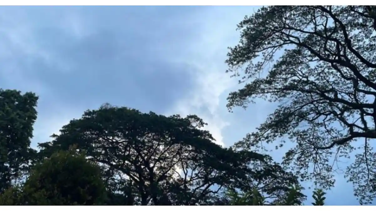 Cuaca-berawan-di-Bogor232
