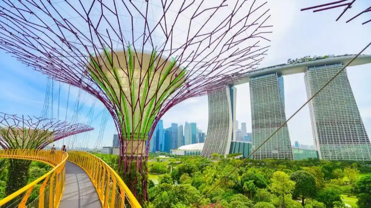 Gardens-by-the-Bay-dan-Supertree-Grove
