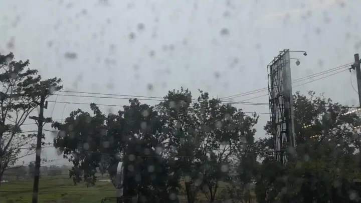 Prakiraan Cuaca Pekanbaru Hari Ini, 16 Agustus 2026, BMKG: 12 Kecamatan Berpotensi Hujan Ringan