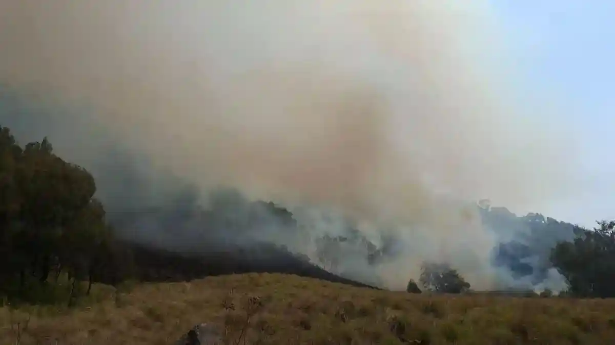 Karhutla-Bromo-2026