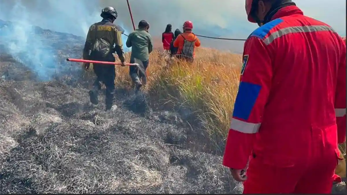Kebakaran-Gunung-Bromo_Agustus1