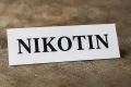 BRIN dan Kementan Soroti Dampak Batas Nikotin 1 mg, Tembakau Lokal Petani Berisiko Tak Terserap