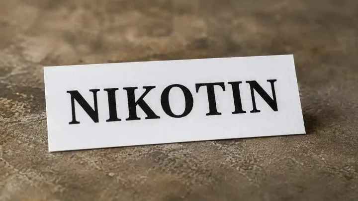 BRIN dan Kementan Soroti Dampak Batas Nikotin 1 mg, Tembakau Lokal Petani Berisiko Tak Terserap
