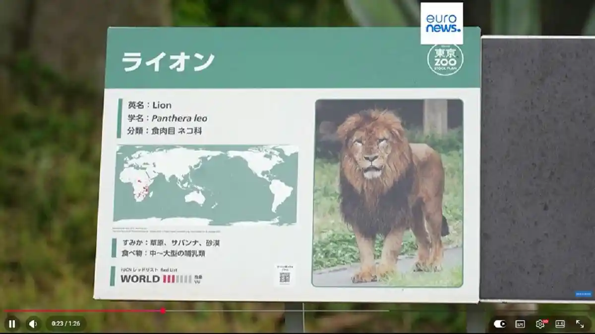 singa-mati-kepanasan-di-jepang