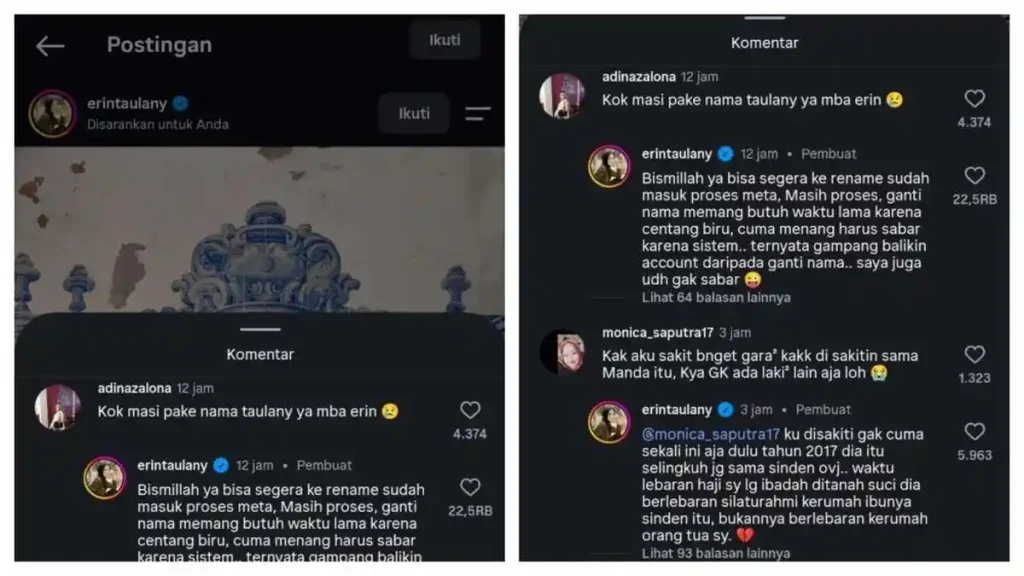 InstagramErintaulany111