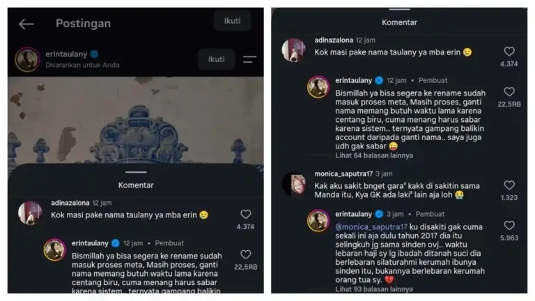 InstagramErintaulany111
