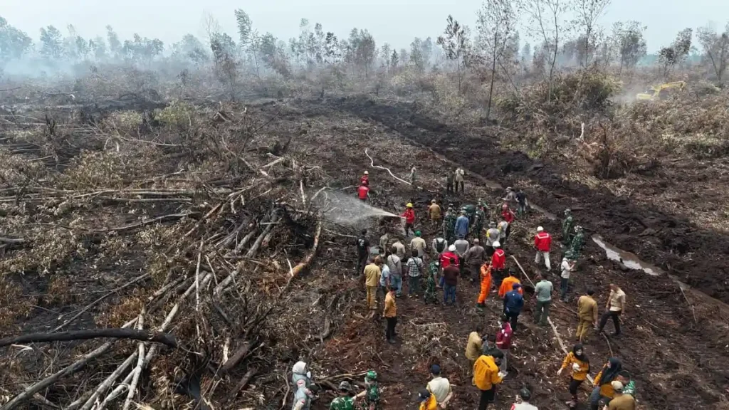 karhutla-jambi-002-1