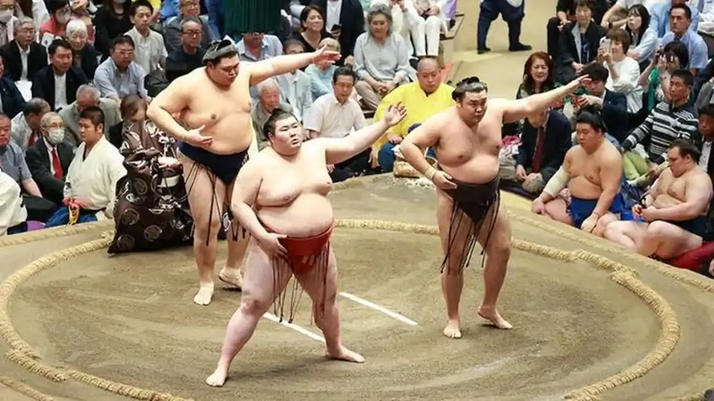 sumo22222